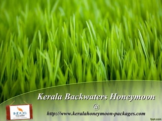 Kerala Backwaters Honeymoon
                    @
  http://www.keralahoneymoon-packages.com
 