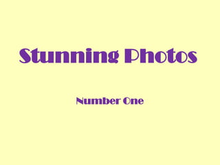 Stunning Photos
Number One

 