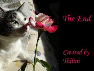 The End Created by Thilini 