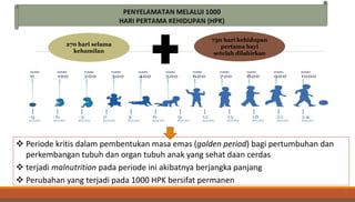 270 hari selama
kehamilan
730 hari kehidupan
pertama bayi
setelah dilahirkan
16
 Periode kritis dalam pembentukan masa emas (golden period) bagi pertumbuhan dan
perkembangan tubuh dan organ tubuh anak yang sehat daan cerdas
 terjadi malnutrition pada periode ini akibatnya berjangka panjang
 Perubahan yang terjadi pada 1000 HPK bersifat permanen
 