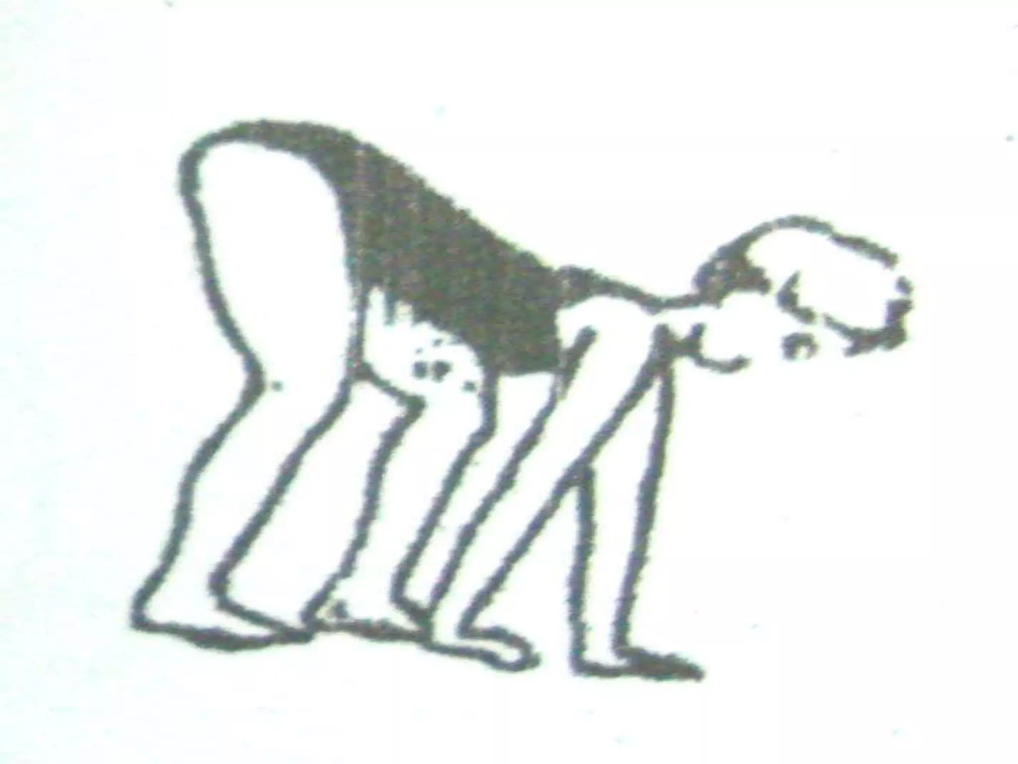 Dog Walk
     In a four-base support, buttocks
up walk alternately right, left with the
hands and feet.
 