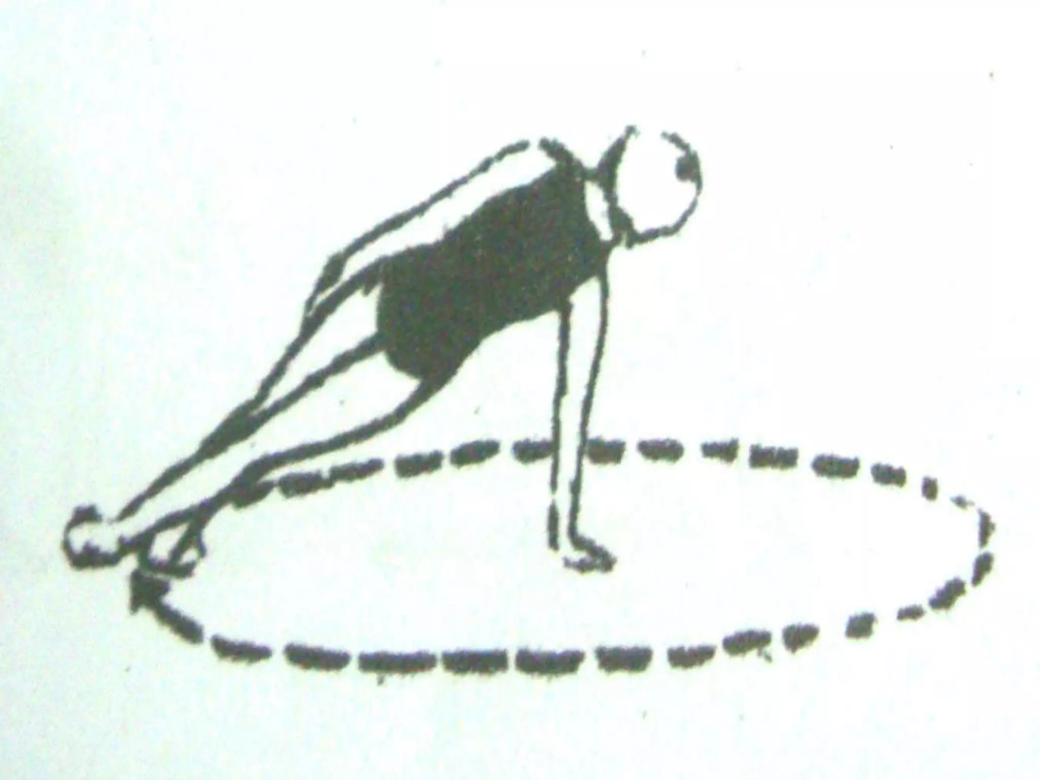 Coffee Grinder
      Form a side arm support, walk
on feet to go around a circle. Do this
right and left.
 