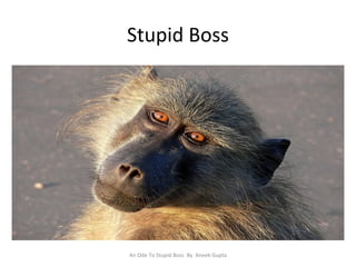 Stupid Boss An Ode To Stupid Boss  By  Aneek Gupta 