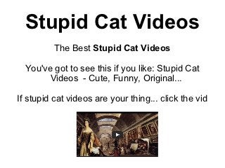 Stupid Cat Videos
          The Best Stupid Cat Videos

  You've got to see this if you like: Stupid Cat
        Videos - Cute, Funny, Original...

If stupid cat videos are your thing... click the vid
 
