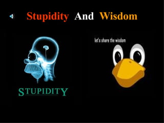Stupidity   And   Wisdom 