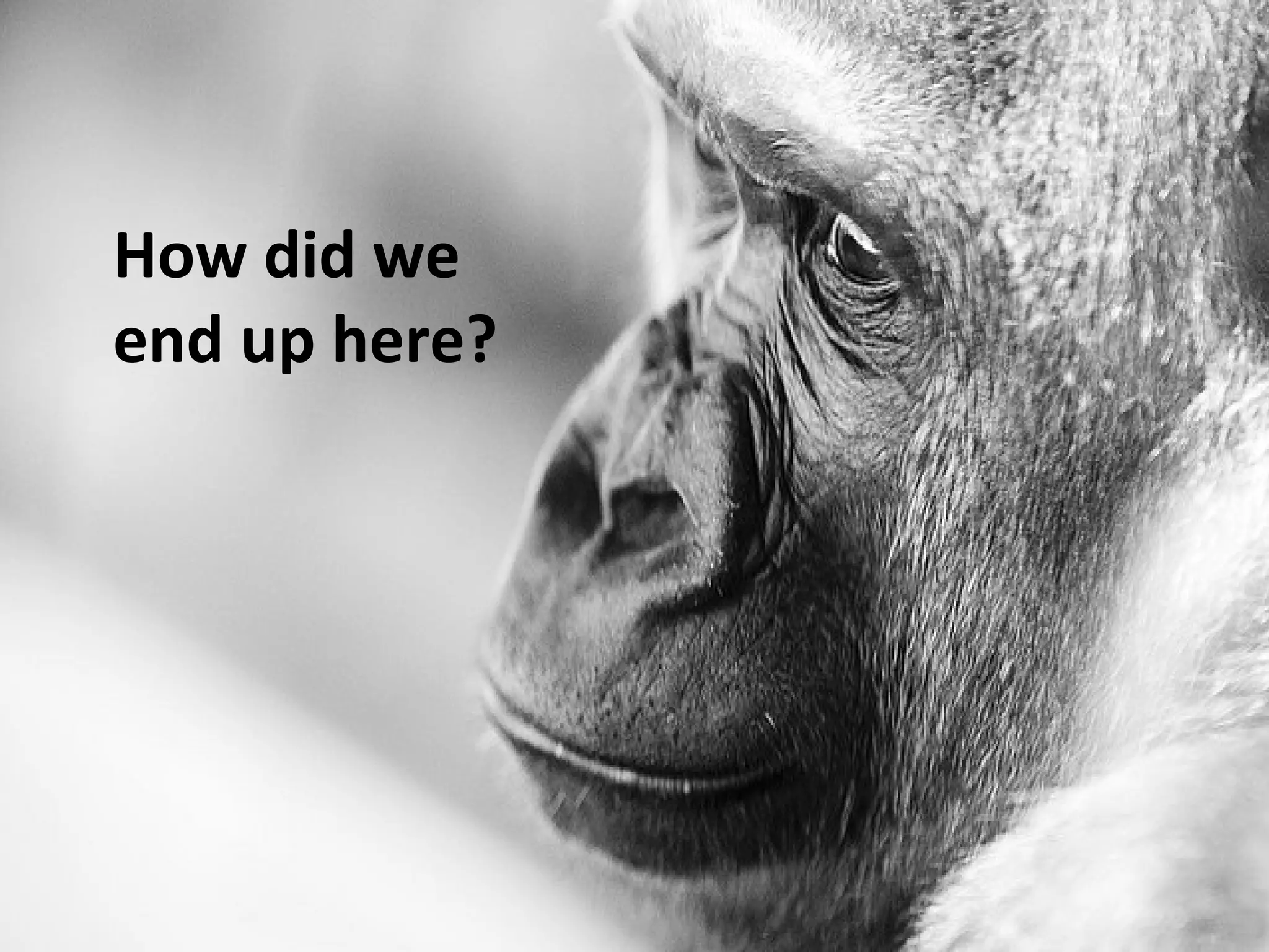 How did we
end up here?
 