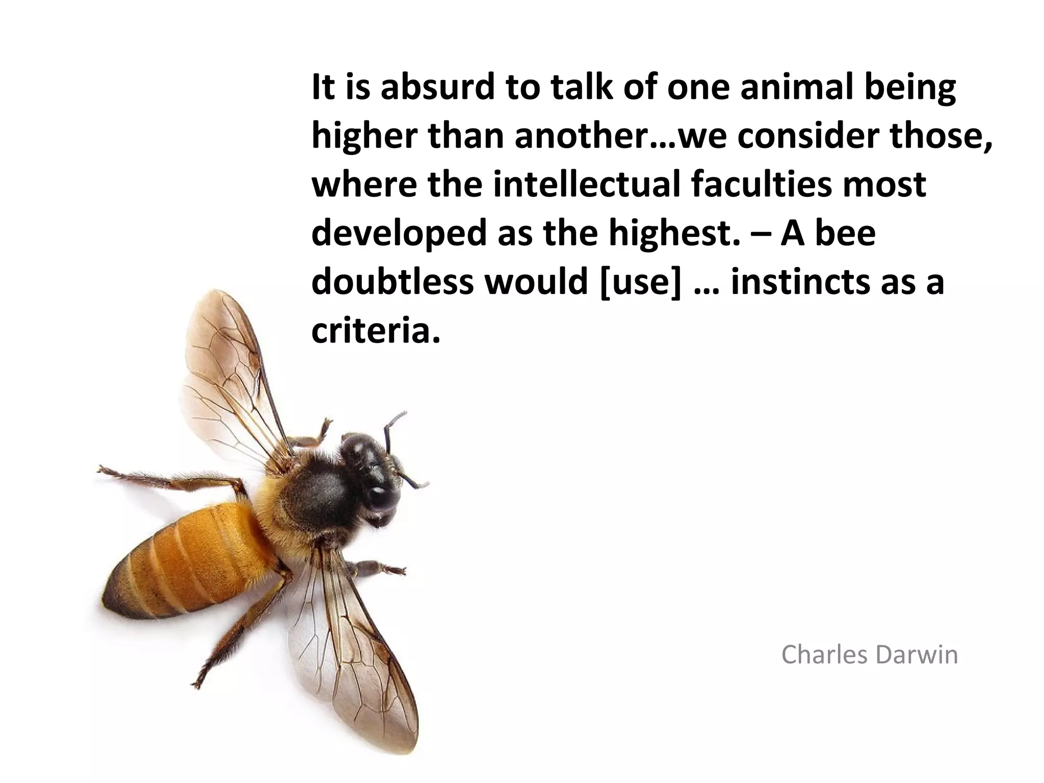 It is absurd to talk of one animal being
higher than another…we consider those,
where the intellectual faculties most
developed as the highest. – A bee
doubtless would [use] … instincts as a
criteria.




                           Charles Darwin
 