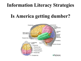 Information Literacy Strategies  Is America getting dumber? 