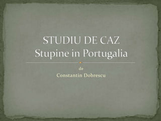 de ConstantinDobrescu STUDIU DE CAZStupine in Portugalia 