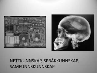 NETTKUNNSKAP, SPRÅKKUNNSKAP,
SAMFUNNSKUNNSKAP
 