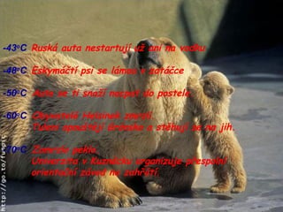 -43 o C Ruská auta nestartují už ani na vodku -48 o C Eskymáčtí psi se lámou v zatáčce -50 o C   Auto se ti snaží nacpat do postele. -60 o C   Obyvatelé Helsinek zmrzli. Tuleni opouštějí Grónsko a stěhují se na jih. -70 o C   Zamrzlo peklo. Univerzita v Kuzněcku organizuje přespolní orientační závod na zahřátí. 