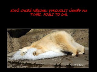KDYŽ CHCEŠ NĚKOMU VYKOUZLIT ÚSMĚV NA TVÁŘI, POŠLI TO DÁL 