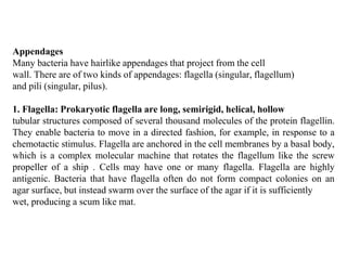 sturcture of bacteria lecture 3[1].pptx