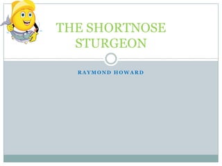 THE SHORTNOSE
  STURGEON

  RAYMOND HOWARD
 