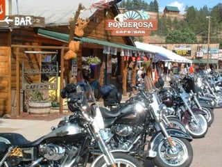 Sturgis 