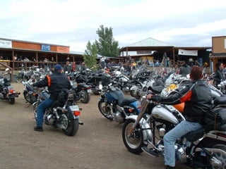 Sturgis 