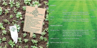 Sturmfreie bude alster