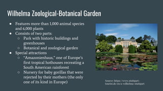 Wilhelma Zoological-Botanical Garden
● Features more than 1,000 animal species
and 6,000 plants
● Consists of two parts:
○ Park with historic buildings and
greenhouses
○ Botanical and zoological garden
● Special attractions
○ “Amazonienhaus,” one of Europe’s
first tropical hothouses recreating a
South American rainforest
○ Nursery for baby gorillas that were
rejected by their mothers (the only
one of its kind in Europe) Source: https://www.stuttgart-
tourist.de/en/a-wilhelma-stuttgart
 