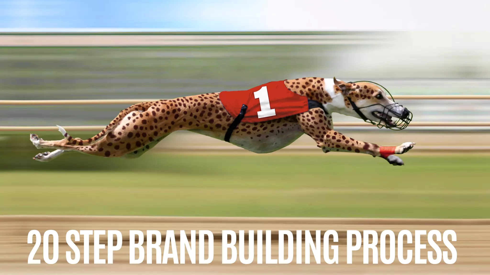 20STEPBRANDBUILDINGPROCESS
 