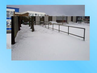 St vincent photo contest