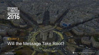 Will the Message Take Root?
STORY 2
Image: Greenpeace
 