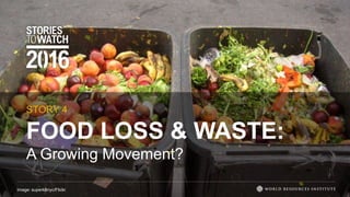 FOOD LOSS & WASTE:
A Growing Movement?
STORY 4
Image: superk8nyc/Flickr
 