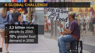 A GLOBAL CHALLENGE
• 2.3 billion more
people by 2050
• 70% greater food
demand in 2050
Source: UN 2015; World Resources Report 2015; FAO 2015. Photo: Ed Yourdon/Flickr
 