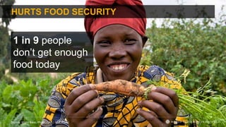 HURTS FOOD SECURITY
1 in 9 people
don’t get enough
food today
Source: World Bank; Photo: GAC | AMC/Flickr
 