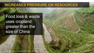 INCREASES PRESSURE ON RESOURCES
Food loss & waste
uses cropland
greater than the
size of China
Source: Kummu, M. et al, 2012; FAO, 2013; Photo: John Roberts/Flickr
 