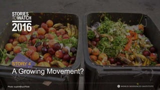 A Growing Movement?
STORY 4
Photo: superk8nyc/Flickr
 