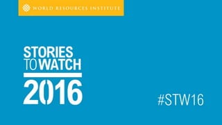 Photo: Greenpeace
FEATURING
Andrew Steer
President & CEO
January 13, 2016
 