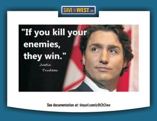 STW FAKE NEWS Case Studies 