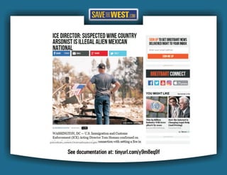 STW FAKE NEWS Case Studies 