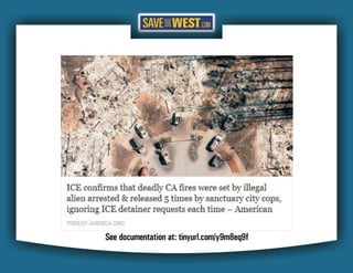 STW FAKE NEWS Case Studies 