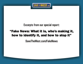 STW FAKE NEWS Case Studies 