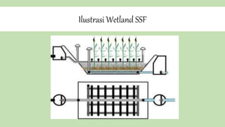 Ilustrasi Wetland SSF
 