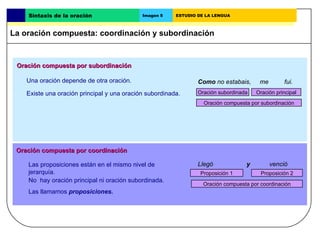 Oración compuesta por subordinación Una oración depende de otra oración. Existe una oración principal y una oración subordinada. Oración compuesta por coordinación No  hay oración principal ni oración subordinada.  Las llamamos  proposiciones.  Oración subordinada Como  no estabais,  me  fui. Oración principal Oración compuesta por subordinación Las proposiciones están en el mismo nivel de jerarquía. Llegó  y   venció Proposición 1 Proposición 2 Oración compuesta por coordinación La oración compuesta: coordinación y subordinación Sintaxis de la oración Imagen 5 ESTUDIO DE LA LENGUA 