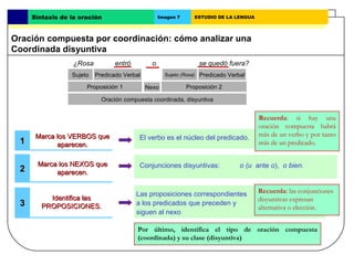 Marca los VERBOS que aparecen. ¿Rosa  entró  o    se quedó fuera? 1 Proposición 1 Nexo Predicado Verbal El verbo es el núcleo del predicado. Recuerda : si hay una oración compuesta habrá más de un verbo y por tanto más de un predicado. Marca los NEXOS que aparecen. 2 Recuerda : las conjunciones disyuntivas expresan alternativa o elección.  3 Identifica las PROPOSICIONES. Las proposiciones correspondientes a los predicados que preceden y siguen al nexo Oración compuesta coordinada, disyuntiva o (u  ante  o ),  o bien. Conjunciones disyuntivas: Sujeto  (Rosa) Predicado Verbal Sujeto Proposición 2 Oración compuesta por coordinación: cómo analizar una  Coordinada disyuntiva Sintaxis de la oración Imagen 7 ESTUDIO DE LA LENGUA Por último, identifica el tipo de oración compuesta (coordinada) y su clase (disyuntiva)  