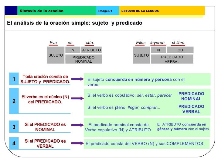 Modificadores del sujeto y predicado ejercicios resueltos