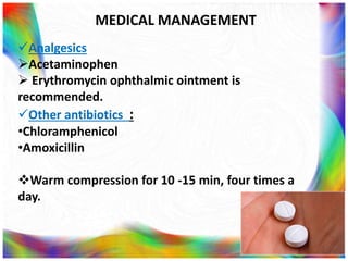 Stye | PPTX