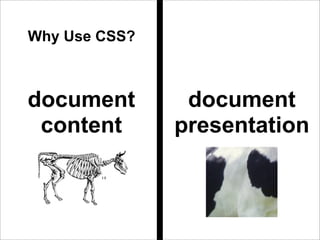 Style Your Site Part 1