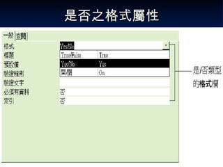 是否之格式屬性 