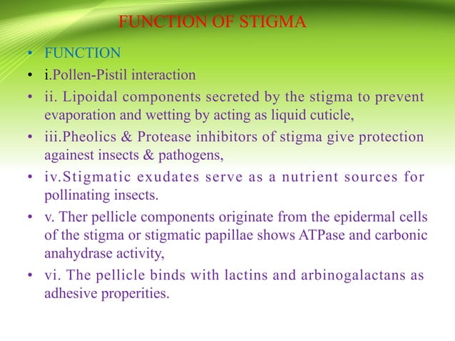 Style and stigma-Structure & diversity | PDF