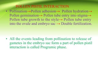 POLLEN PISTIL INTERACTION
• Pollination→Pollen adhesion→ Pollen hydration→
Pollen germination→ Pollen tube entry into stigma→
Pollen tube growth to the style→ Pollen tube entry
into the ovule and embryo sac → Double fertilization.
• All the events leading from pollination to release of
gametes in the embryo sac form a part of pollen pistil
interaction is called Programic phase.
 