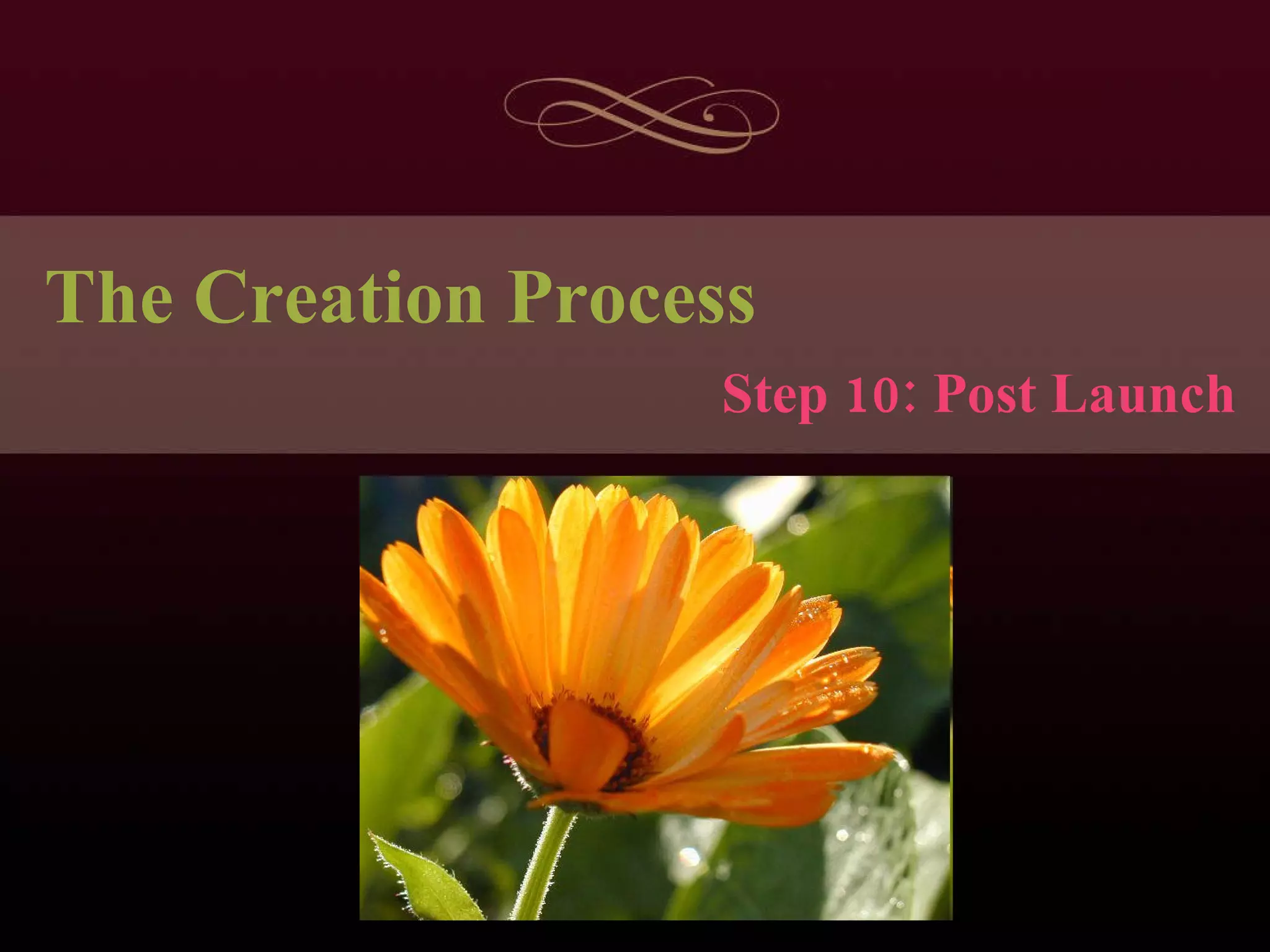 The Creation Process Step 10: Post Launch 