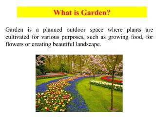Garden Introduction Styles and Types of Garden Presentation.pptx
