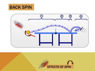 EFFECTS OF SPIN
BACK SPIN
 