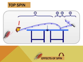 EFFECTS OF SPIN
TOP SPIN
 