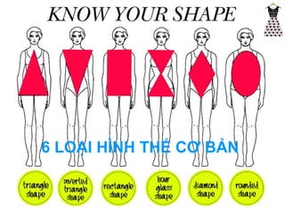 6 LOẠI HÌNH THỂ CƠ BẢN 
 