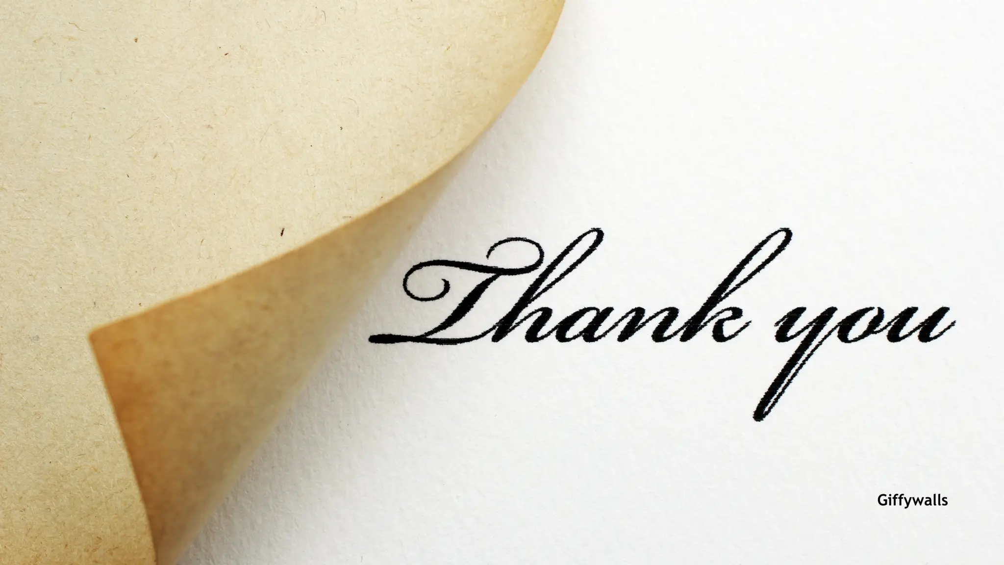 Stylish Wallpaper for Walls – Modern Elegance for Every Space